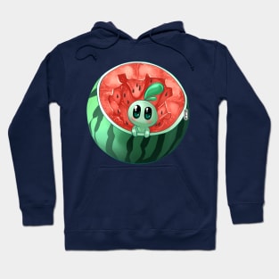 Watermelon Bululu Hoodie